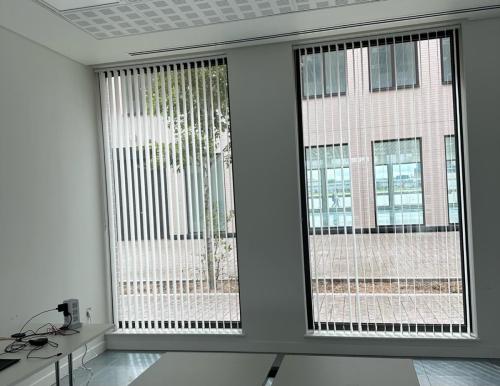 Vertical Blinds